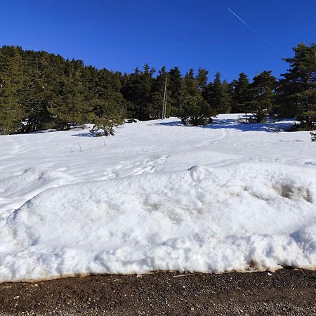 Appartement Greoliere Les Neiges Avec Exterieur 格雷奥利埃 外观 照片